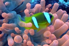 P1010140