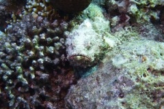 P1010284