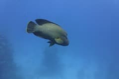 P1010238