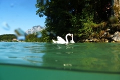 attersee-201306