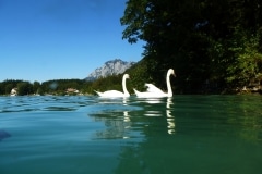 attersee-201308