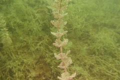 attersee-201312
