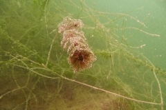 attersee-201313