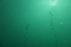 attersee-201314