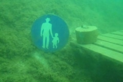 11169960_818845658210281_237702389217101130_n