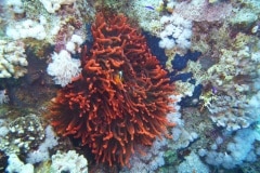 p1040693