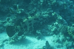 p1040745