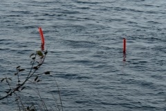 TCSGG Attersee 2016