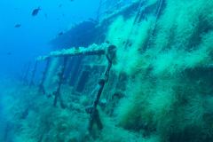 gozo2016-18