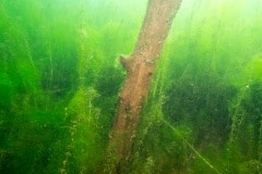 TauchWE Millstätter See